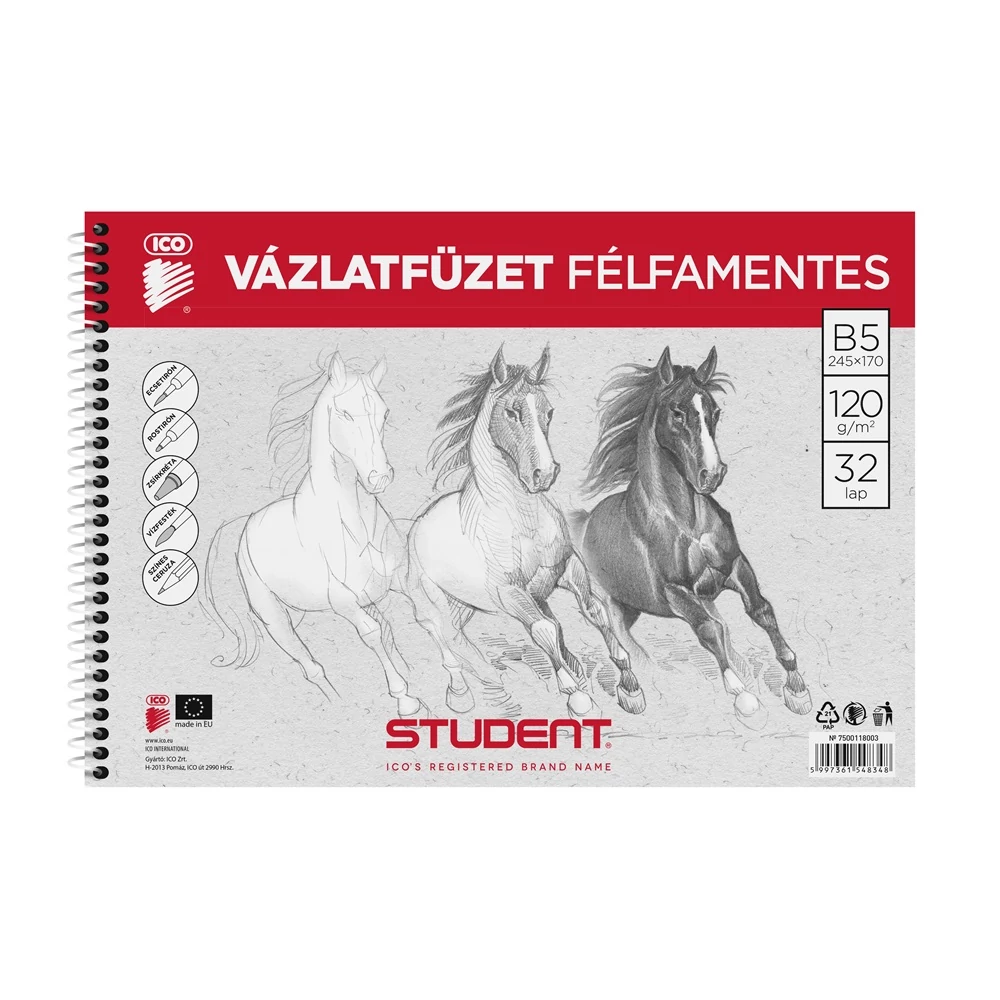 Vázlatfüzet B5 120g. félfamentes Student